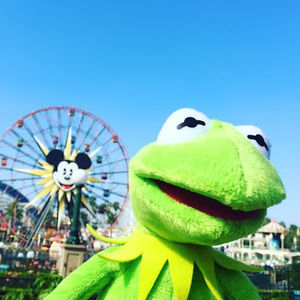 Meet your Posher, Monica